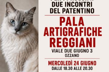 Patentino gatti indoor: Nuova sede per gli incontri e materiali del corso