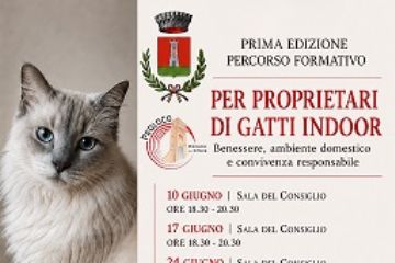 Corso “Il Patentino” per Proprietari di Gatti Indoor