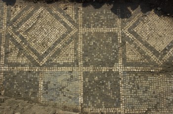 Claterna: mosaici a pavimento
