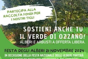 L'albero di San Martino: distribuzione piantine e piantumazione a San Pietro (Giornata nazionale degli alberi9