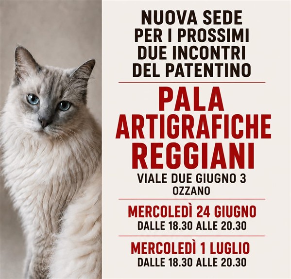 Patentino gatti indoor: Nuova sede per gli ultimi due incontri