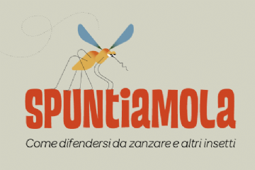 Lotta alla zanzare: cosa fare e come contrastare il fenomeno