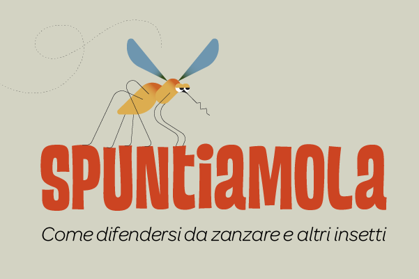 Lotta alla zanzare: cosa fare e come contrastare il fenomeno