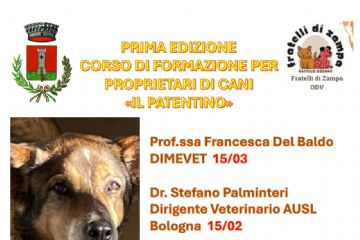 Incontri febbraio-marzo per il  ‘Patentino’ per cani a Ozzano dell’Emilia