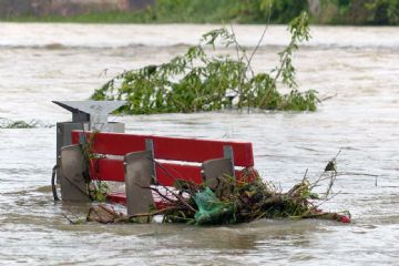 Alluvione settembre 2024: contributi regionali per imprese e professionisti danneggiati