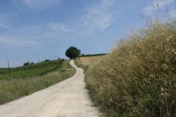 Il Bando GAL Appennino bolognese 2025 finanzia interventi su strade rurali dei privati