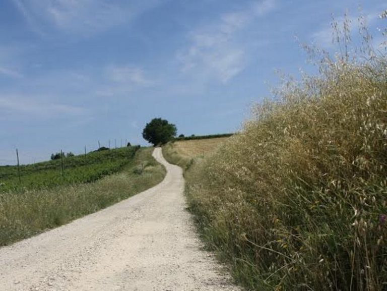 Il Bando GAL Appennino bolognese 2025 finanzia interventi su strade rurali dei privati