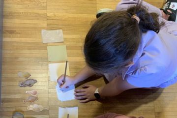 Tutti gli appuntamenti del Museo di Claterna (marzo-maggio)