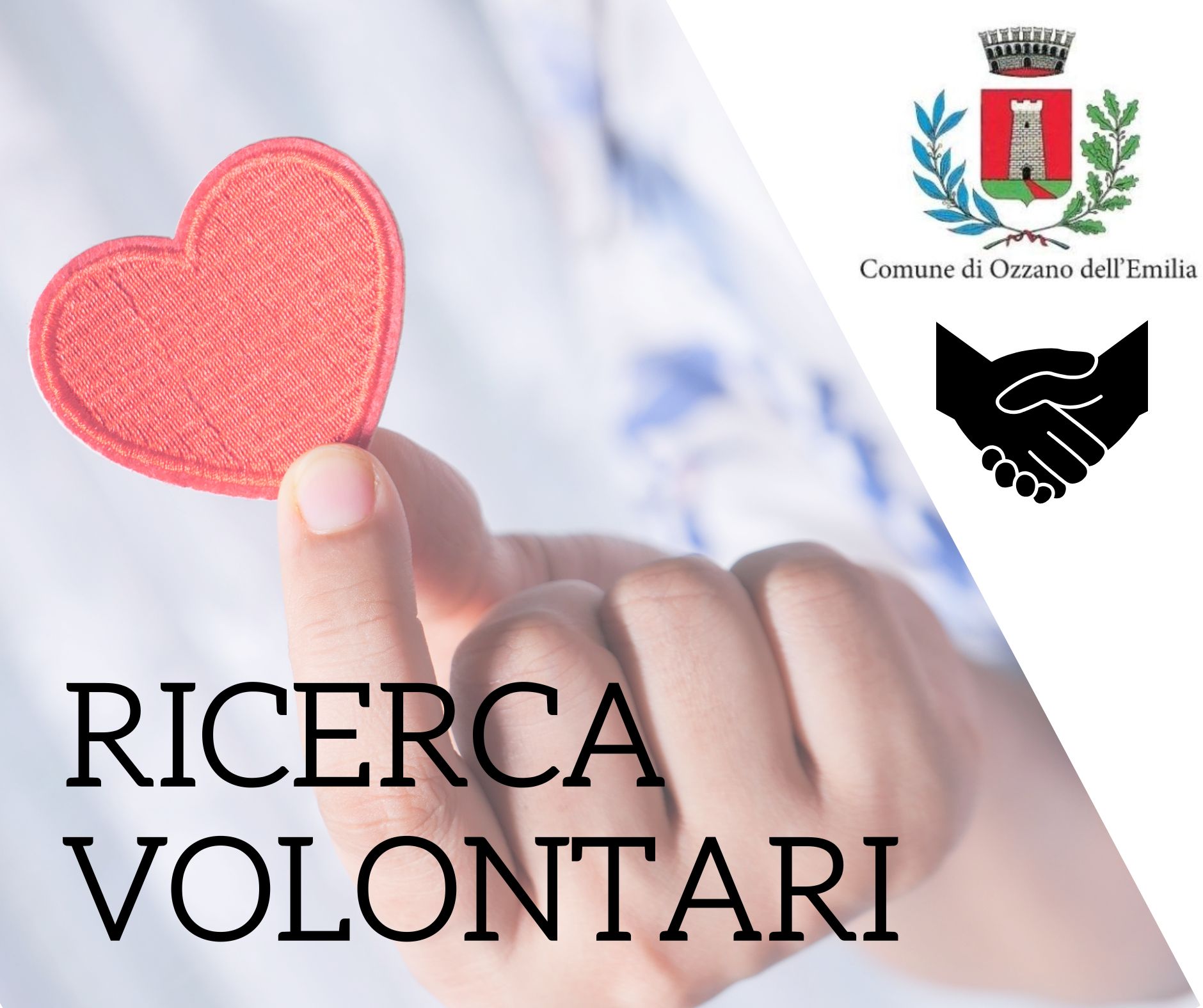 ricerca volontari