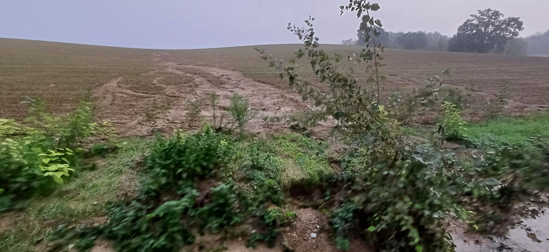 Alluvione 2024 - Rio Marzano