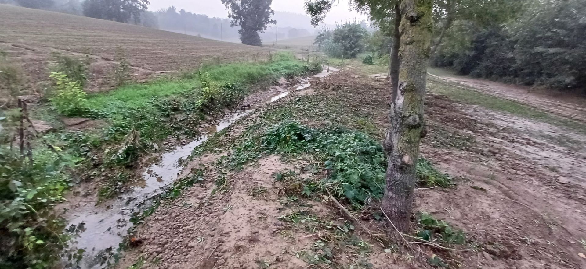 Alluvione 2024 - Rio Marzano 2