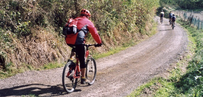 Percorso ciclabile lungo il fiume Idice
